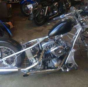 Meet your Posher, Rodney